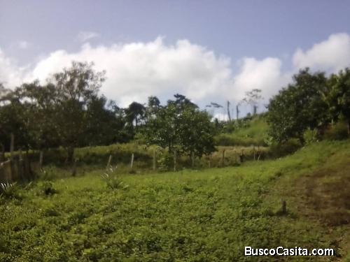 Parcela Deforestada con 8 hectáreas de terreno y tres casas