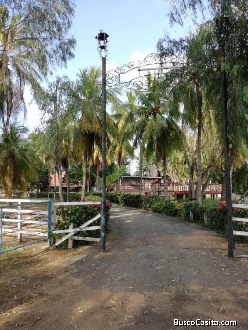 FINCA VENTA SECTOR EL MECOCAL +584126621818 NC