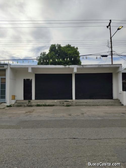 Av Principal vivienda principal de los guayos