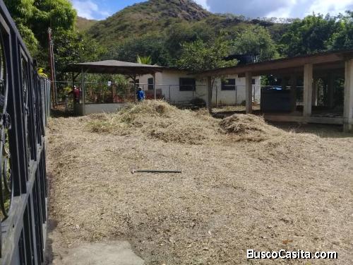 SKY GROUP Vende Terreno en Angelonal Bejuma FOT-173