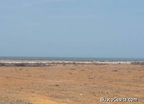 SE VENDE TERRENO PARA FANGODROMO