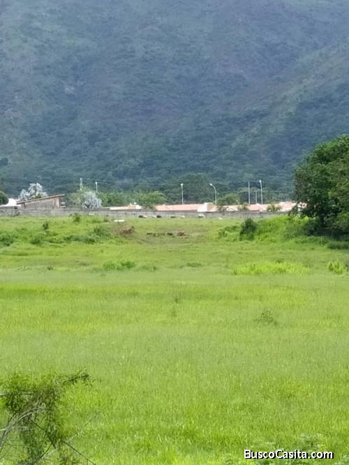 530 Hectáreas de Terreno en San Diego, Carabobo Cumaca