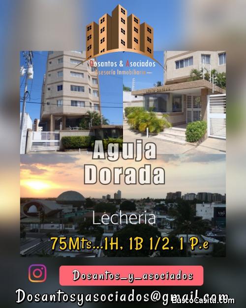 AGUJA DORADA CERCA LA BODEGUILLA 