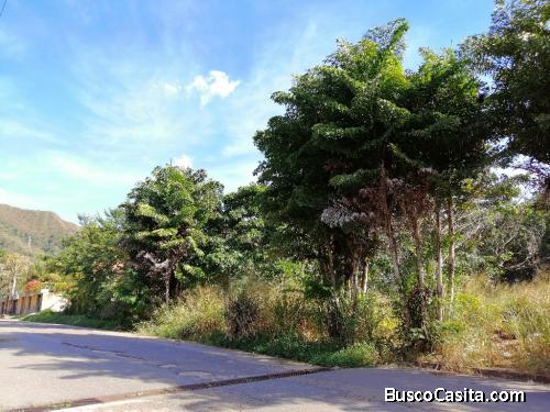 Terreno en Piedras Pintada. FOT-176