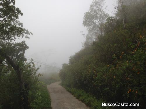 Finca en Carayaca a 15 min de la Colonia Tovar