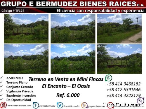Terreno Urb. El  Encanto. Municipio Libertador, Edo. Carabobo. 2.500 m2