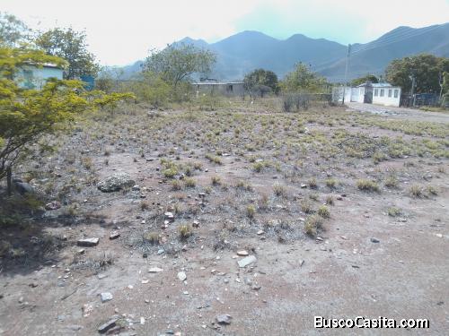 Terreno para Desarrolo Habitacional o Industrial