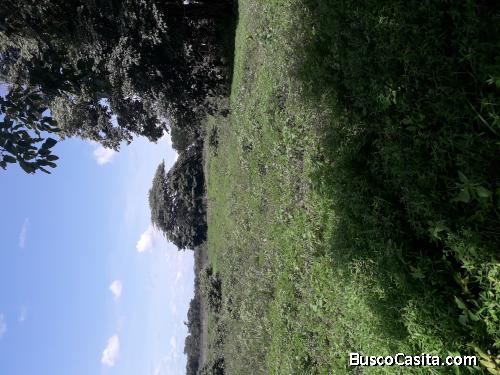 Se Vende Finca de 450 has en Cojedes