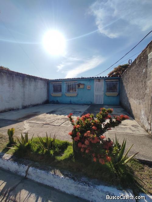 Casa en flor amarillo