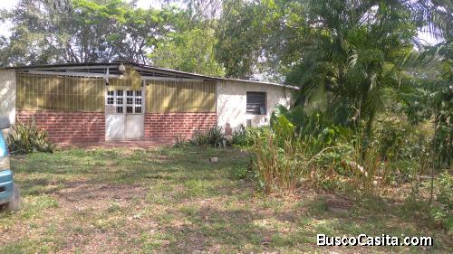 Parcela excelente para siembra de arroz, criar animales