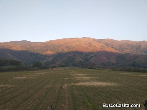 VENTA FINCA CHIRGUA