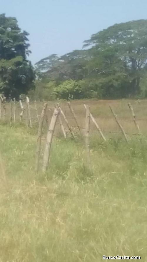 TERRENO VENTA TOMOPORO +584126621818 NC