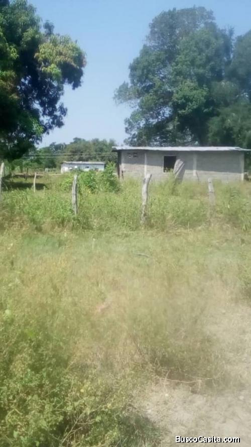 GRANJA VENTA TOMOPORO +584126621818 NC