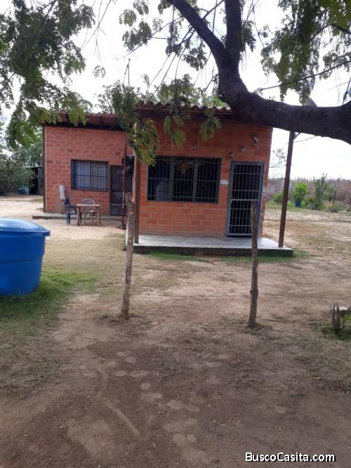 VENDO TERRENO DE 15 HECTAREAS CON VIVIENDA