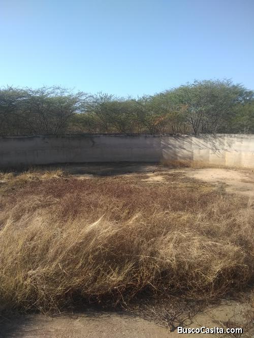 REMATO GRANJA DE 24 HECTAREAS SAN FRANCISCO SECTOR PALO BLANCO LOS CORTIJOS ESTADO ZULIA