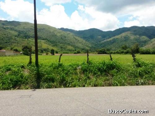 VENTA PARCELA CHIRGUA