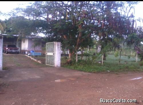 Gangaaaaa! Por urgencia familiar, gangaaa!