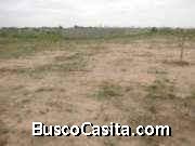 TERRENO EN BARINAS ARENOSA EN LAS TRINITARIAS 230 MTS2