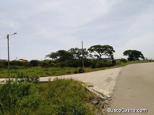 SKY GROUP PLATINUM VENDE Terreno en Tucacas-Coro