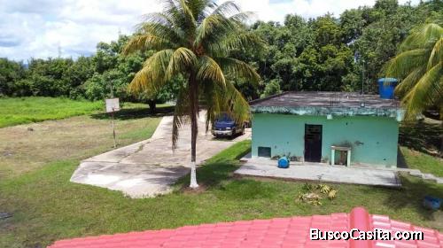TERRENO EN TOCUYITO, EL LIBERTADOR