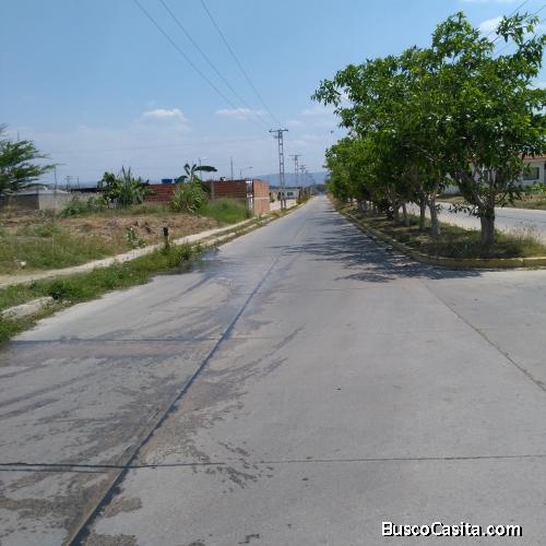 TERRENO EN FLOR AMARILLO CON PROYECTO PARA 70 CASAS