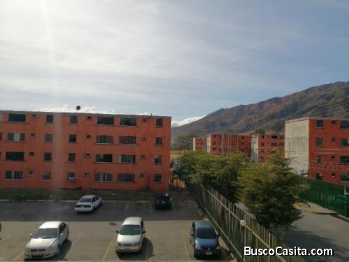 El Tulipan, San Diego - FOA-1502