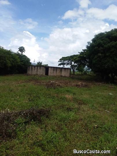  Terreno en tinaquillo, la lagunita