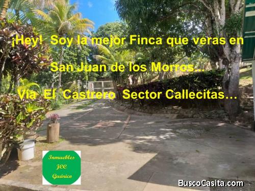¡Hey! Soy la mejor Finca que veras en San Juan de los Morros...Vía El Castrero. Sector Callecitas…