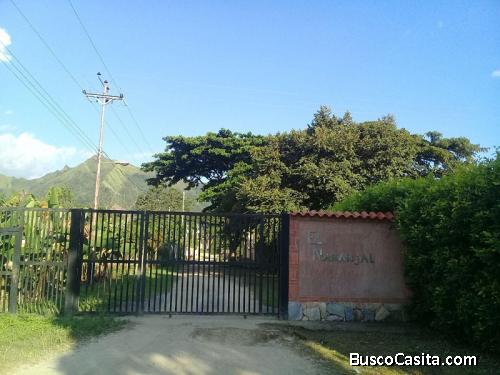 LINDA PARCELA PRODUCTICA MACO MACO SAN DIEGO C/CASA CALLE PRIVADA 