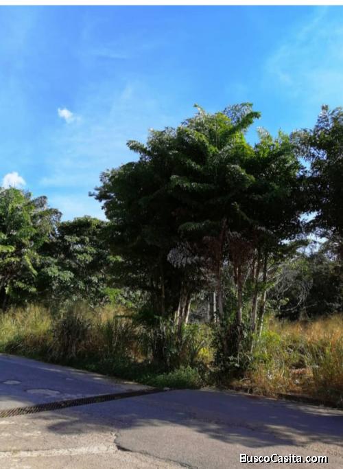 Terreno mañongo calle cerrada