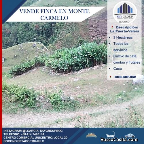 FINCA MONTE CARMELO VALERA- VIA LA PUERTA