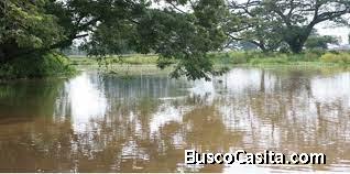 GRAN EXTENSION DE TERRENOS EN RIO CHICO HASTA TACARIGUA DE MAMPORAL, 10 HECTAREAS