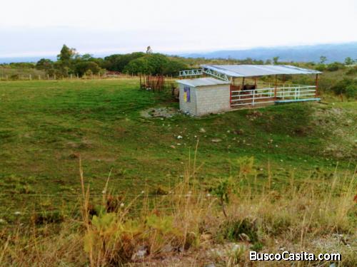 Terreno En Venta En Valle del Río, San Carlos FOT-181