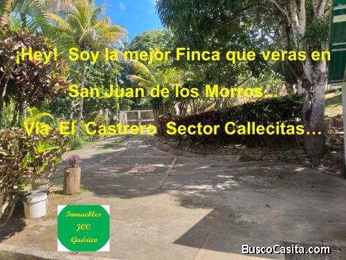 ¡Hey! Soy la mejor Finca que veras en San Juan de los Morros...Vía El Castrero Sector Callecitas…