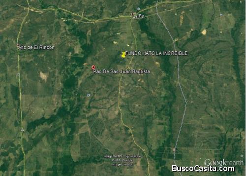 Terreno en el Estado Cojedes  Municipio el Pao. Hato La Increíble 