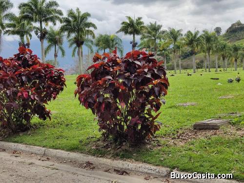 Parcela en el cementerio del Este La Guairita