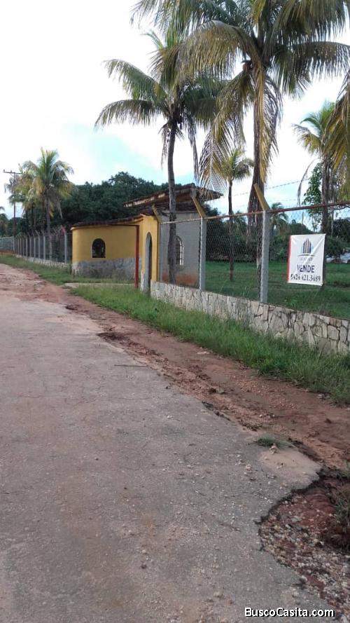 Finca en venta tocuyito, sabana del medio LEMFI-036