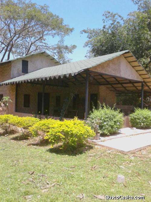 Terreno En Bejuma. Idlet-257