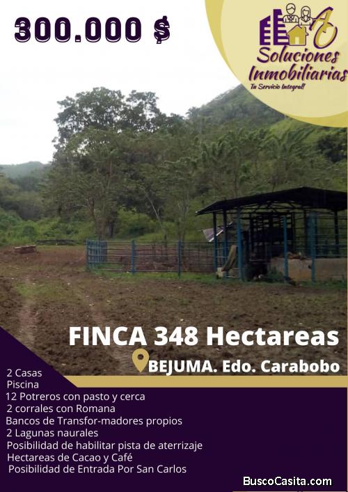 Productiva Finca en Bejuma ubicada en sector la hoya, 348 hectáreas.