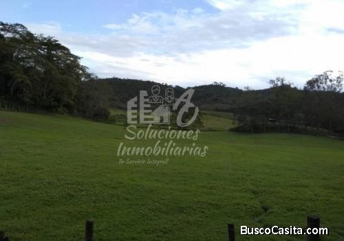 Productiva finca en Montalban