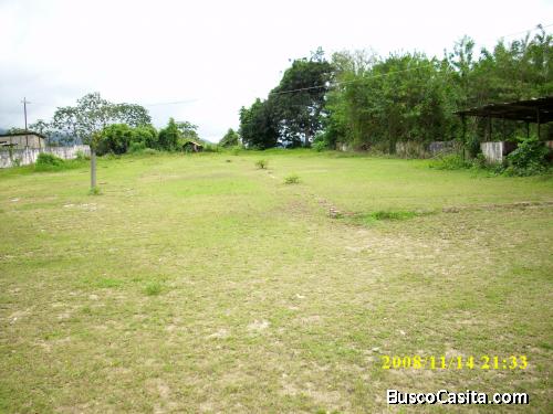 Alquilo o me Asocio: Tengo 100 HA., a 45 min., de Caracas, con todos sus servicios básicos