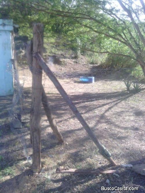 COLINAS DE CUA CARRETERA CUA TACATA