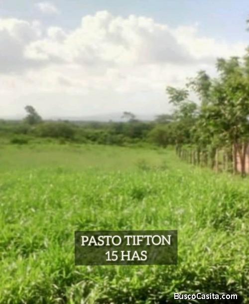 Finca en Altagracia de Orituco