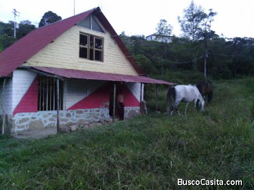 SE VENDE HERMOSO CHALET CON 2 HEC DE TERRENO