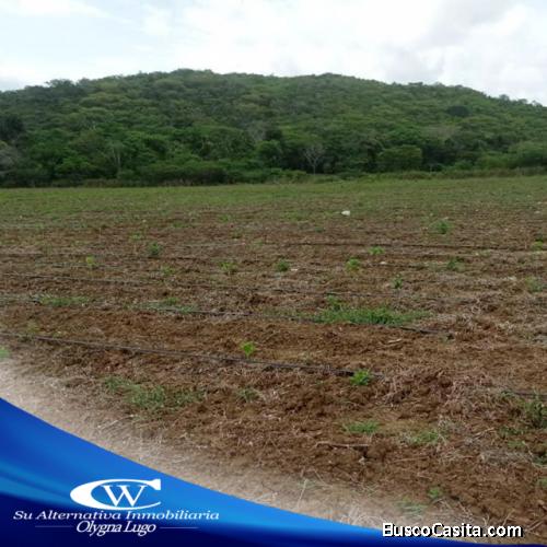 Se vende finca en las Dos Bocas al lado del Rio Ricoa