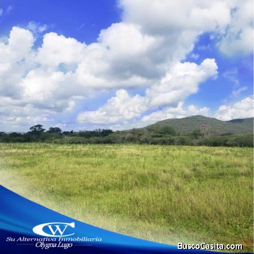 Se vende finca en las Dos Bocas, al lado del Rio Ricoa