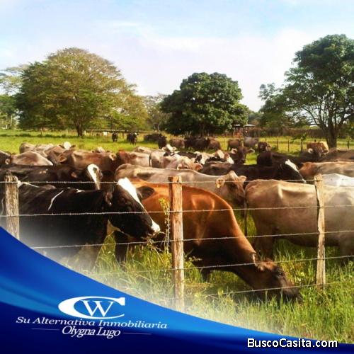 se vende finca en Yaracal