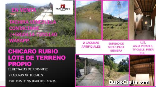 VENDO 26 HECTARIAS DE TERRENO