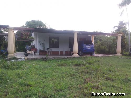 Casa con parcela cercada