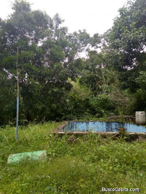 SKY GROUP PLATINUM VENDE Terreno en el Solar, Guataparo